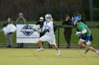 MLax vs Salve  Wheaton College Men’s Lacrosse vs Salve Regina University in the 2024 NEWMAC quarterfinals. - Photo By: KEITH NORDSTROM : Wheaton, Lacrosse, LAX, NEWMAC